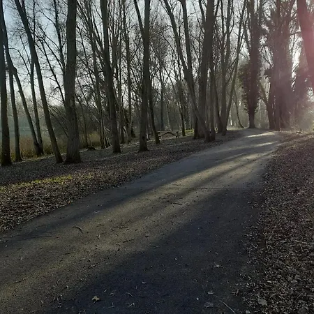 Gite Des Marronniers - Numero 6